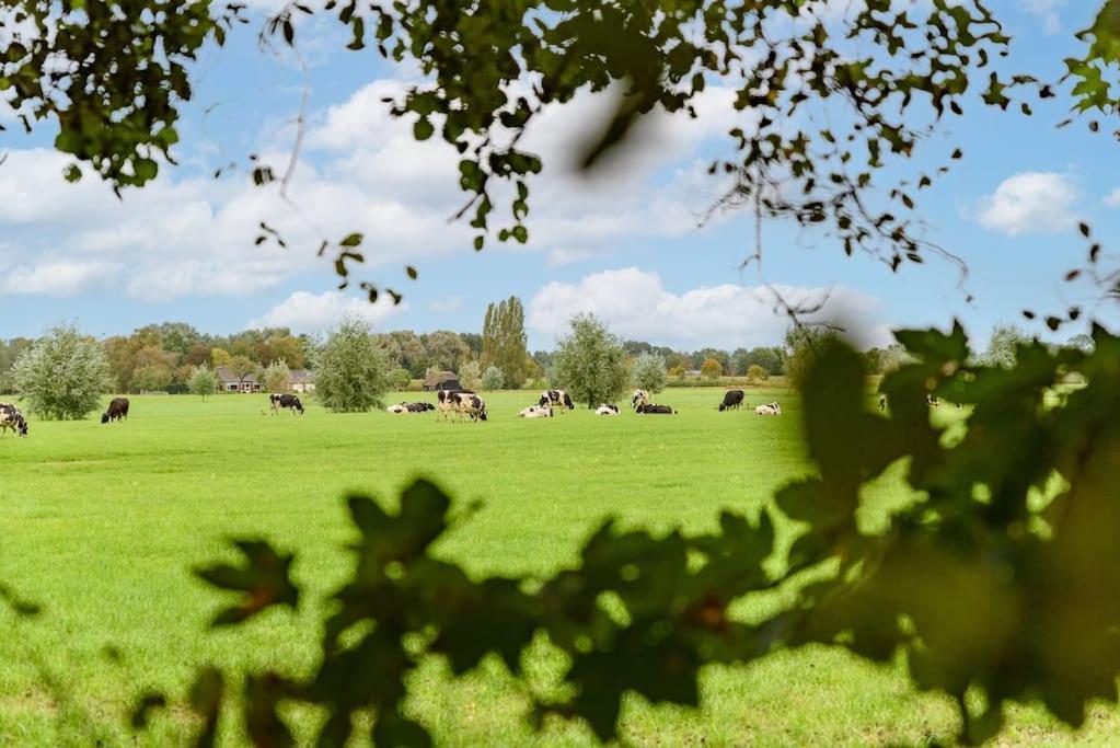 Prachtig Vrijstaand Familiehuis Op Groot Perceel * Scherpenzeel (Gelderland)