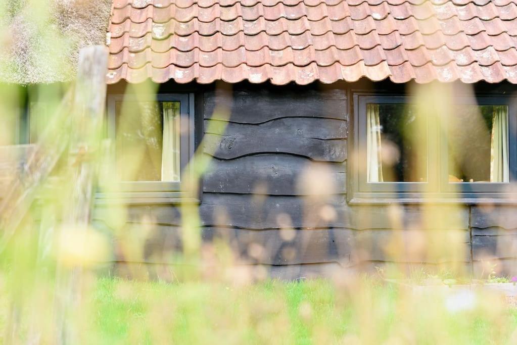 Prachtig Vrijstaand Familiehuis Op Groot Perceel Scherpenzeel (Gelderland)