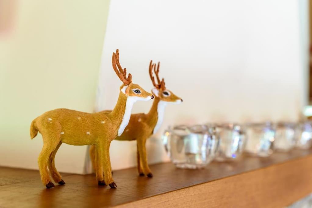 Prachtig Vrijstaand Familiehuis Op Groot Perceel Holiday home