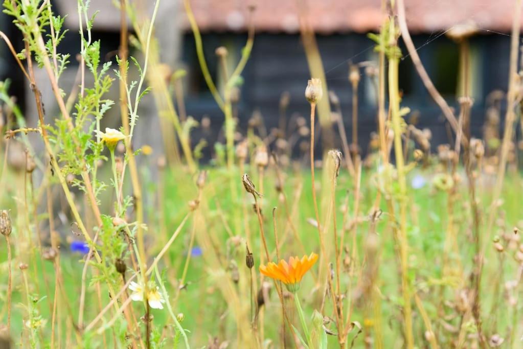 Prachtig Vrijstaand Familiehuis Op Groot Perceel Holiday home