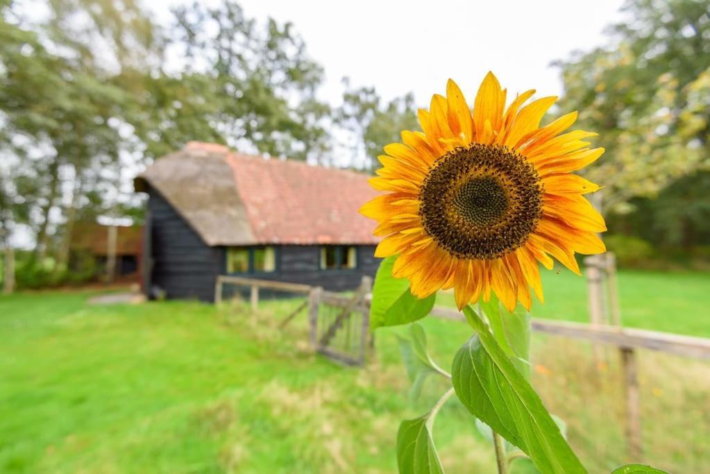 Prachtig Vrijstaand Familiehuis Op Groot Perceel Scherpenzeel (Gelderland)