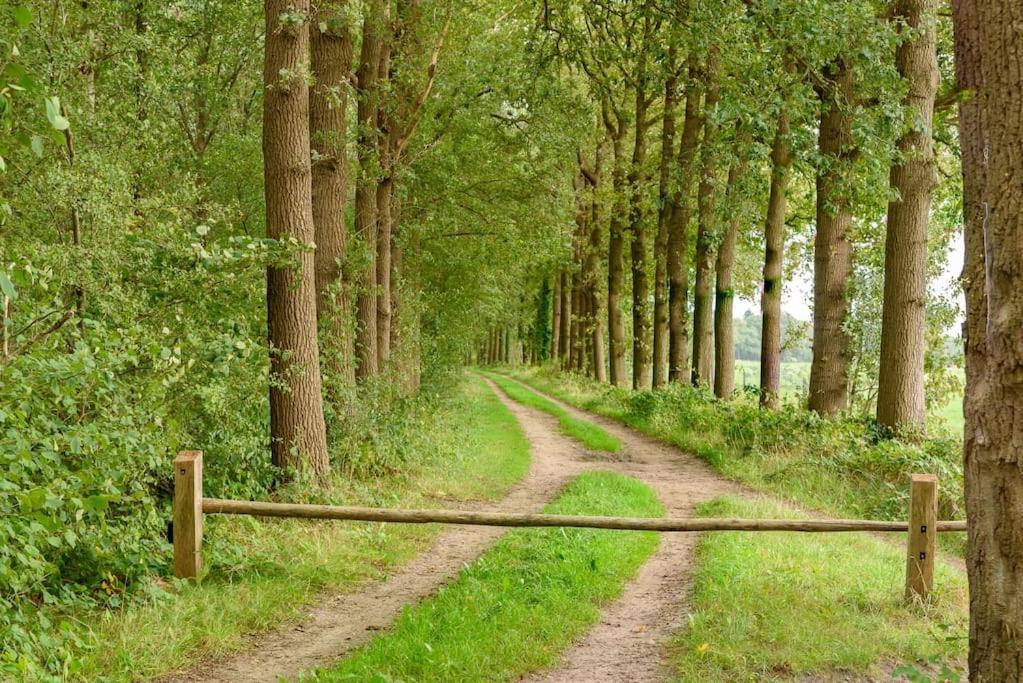 Prachtig Vrijstaand Familiehuis Op Groot Perceel Scherpenzeel (Gelderland)